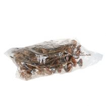 Artículo Roseta Compacta 100 uds.