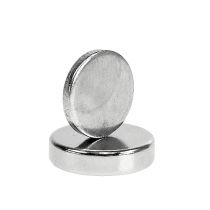 Artículo Imán ramillete 12 x 3 mm 10uds