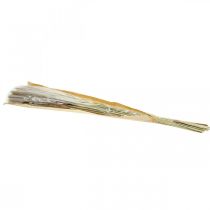 Artículo Hierbas secas Hierba de la pampa manojo natural 80cm 100g