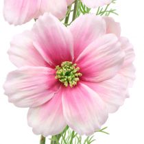 Artículo Cosmea artificial rosa 77cm 3uds