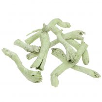 Raíces cuprosas, Pepe Cone verde claro, blanco lavado 350g