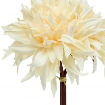 Artículo Crema de dalia artificial 25,5cm 3uds