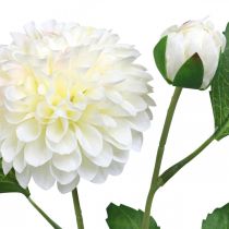 Artículo Dalia flores artificiales verde crema 2 flores 60cm