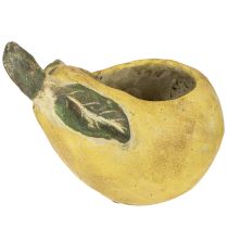 Artículo Maceta decorativa de hormigón con forma de pera, decoración otoñal, 19×12,5×15,5 cm