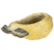 Artículo Maceta decorativa de pera otoñal de hormigón de 25 x 13 x 11 cm