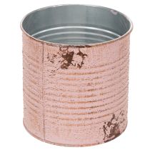 Artículo Lata decorativa, rosa antigua, lata de metal para plantar, Ø11cm H10.5cm