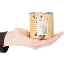 Artículo Lata decorativa, color albaricoque veraniego, lata de metal, maceta, Ø8cm H7.5cm