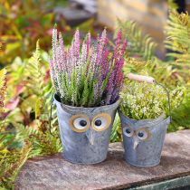 Artículo Macetero decorativo con forma de búho de zinc con asa, Ø15/19 cm, juego de 2
