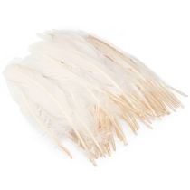 Artículo Plumas decorativas plumas de pájaro reales champagne 20g