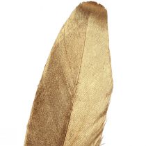 Artículo Plumas decorativas plumas decorativas navideñas doradas 15-20cm 12 piezas