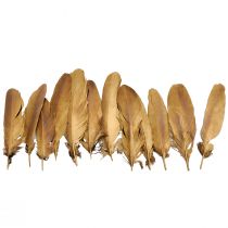 Artículo Plumas decorativas plumas decorativas navideñas doradas 15-20cm 12 piezas