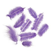 Plumas cortas 30g violeta claro