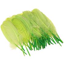 Artículo Plumas decorativas para elaborar plumas de ganso verde claro 20 g x 2 piezas