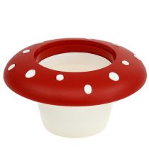 Artículo Agárico de mosca decorativo Ø6cm 11 piezas