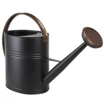 Artículo Regadera decorativa metal boquilla verde oliva negro 60x19x38cm