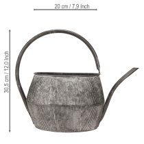 Artículo Regadera/tetera decorativa de metal, negra, estilo vintage.