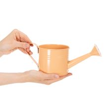 Artículo Juego de regaderas decorativas en tonos pastel salmón, verde y verde amarillento - maceta de metal Ø11cm H10cm, 8 piezas