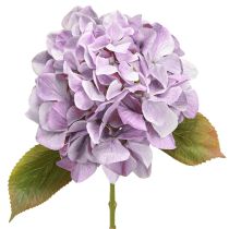 Artículo Decoración Hortensias Flores Artificiales Flor Púrpura Ø18cm 69cm 2uds