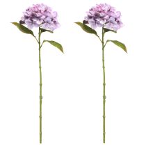 Artículo Decoración Hortensias Flores Artificiales Flor Púrpura Ø18cm 69cm 2uds