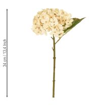 Artículo Hortensias decorativas artificiales de seda color crema, 34 cm, 2 unidades