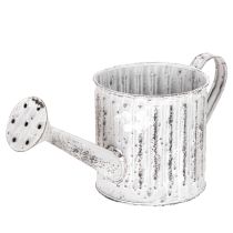 Artículo Regadera decorativa, maceta, regadera para plantar Ø10,5 cm