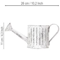 Artículo Regadera decorativa, maceta, regadera para plantar Ø10,5 cm
