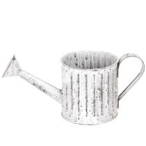 Artículo Regadera decorativa, maceta, regadera para plantar Ø10,5 cm