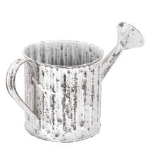 Artículo Regadera decorativa, maceta, regadera para plantar Ø10,5 cm
