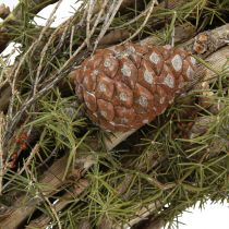 Artículo Corona decorativa ramas y piñas de cedro corona de madera natural Ø40cm