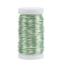 Artículo Alambre esmaltado Deco verde menta Ø0.50mm 50m 100g