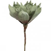 Artículo Deco flor de loto, flor de loto, flor de seda verde L64cm