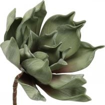 Deco flor de loto, flor de loto, flor de seda verde L64cm