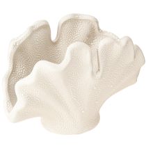 Artículo Jarrón decorativo de concha, mini jarrón de cerámica color crema, 14×7,5×9,5 cm