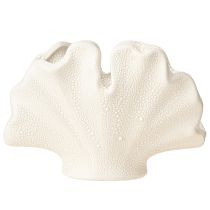 Artículo Jarrón decorativo de concha, mini jarrón de cerámica color crema, 14×7,5×9,5 cm