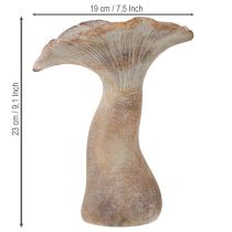 Artículo Hongo decorativo de piedra fundida, decoración otoñal, gris lavado, 19×15 cm, alto 23 cm