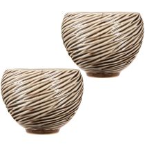 Artículo Cuenco Decorativo Maceta Cerámica Beige Marrón Ø15cm 2uds
