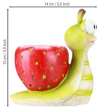 Artículo Maceta decorativa caracol fresa cerámica verde rojo 15,5cm