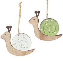 Artículo Adorno decorativo de madera de caracol para colgar verde natural 6,5cm 12 piezas
