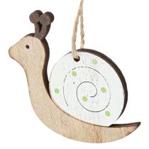 Artículo Adorno decorativo de madera de caracol para colgar verde natural 6,5cm 12 piezas
