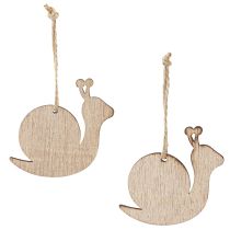 Artículo Adorno decorativo de madera de caracol para colgar verde natural 6,5cm 12 piezas