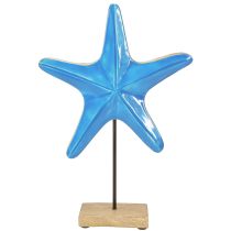 Artículo Estrella de mar decorativa sobre base de madera azul natural Ø22cm H32cm