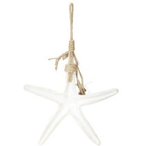 Artículo Estrella de mar decorativa para colgar decoración marítima madera blanca 30cm