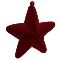 Estrella decorativa rojo oscuro 20cm flocado