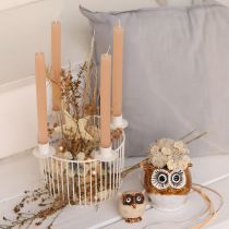 Artículo Estrellas decorativas de rafia de cáñamo, 7,5 cm, adornos para árbol de Navidad, 8 piezas