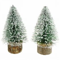 Adorno navideño, abeto decorativo, mini abeto verde nevado H15cm Ø9.5cm 6pcs