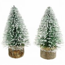 Artículo Adorno navideño, abeto decorativo, mini abeto verde nevado H15cm Ø9.5cm 6pcs