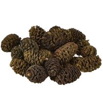 Artículo Conos decorativos piñas de aliso naturales para decorar 3-4cm 200g