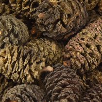 Artículo Conos decorativos piñas de aliso naturales para decorar 3-4cm 200g