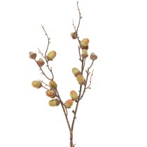 Artículo Rama decorativa bellotas decoración verde otoño decoración artificial 80cm