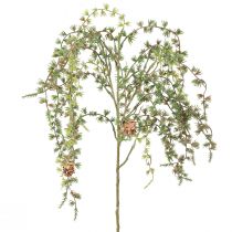 Artículo Rama decorativa rama de alerce conos reales artificiales 93cm